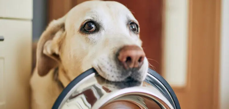 shutterstock 1696516987 scaled 1