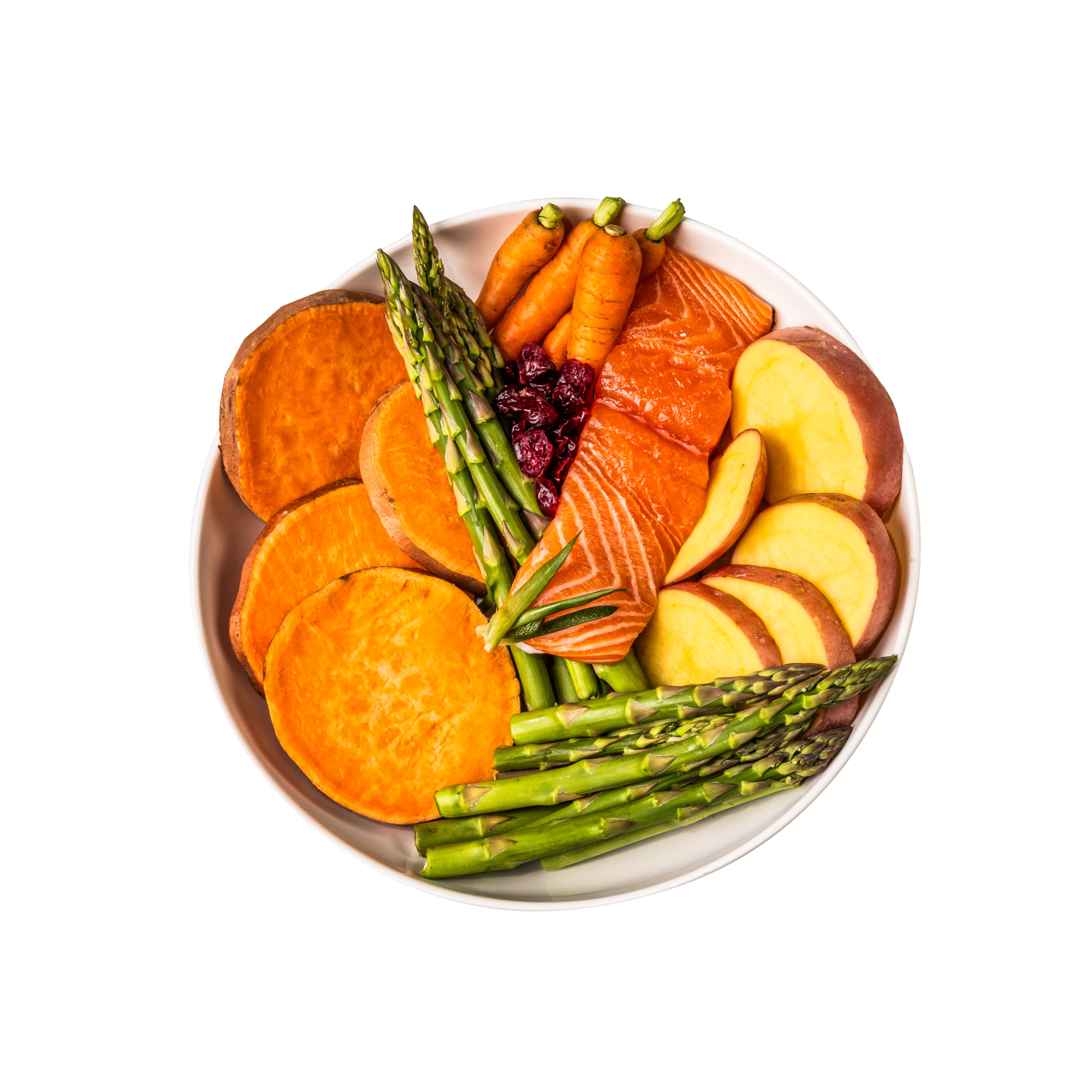 GP Cat Salmon Ingredients CUTOUT