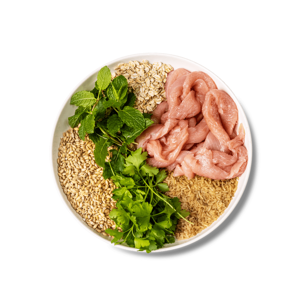 GP Cat Turkey Ingredients CUTOUT