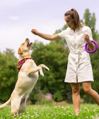 girl-giving-dog-a-treat