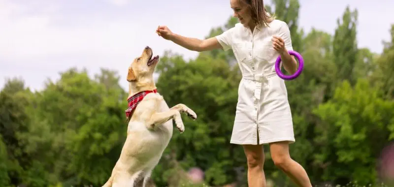 girl-giving-dog-a-treat