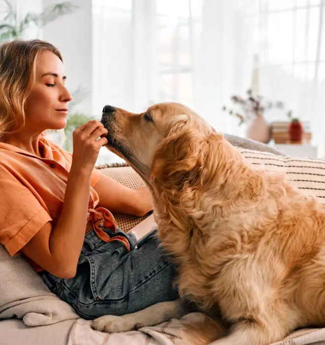 woman-feeding-large-dog-a-treat