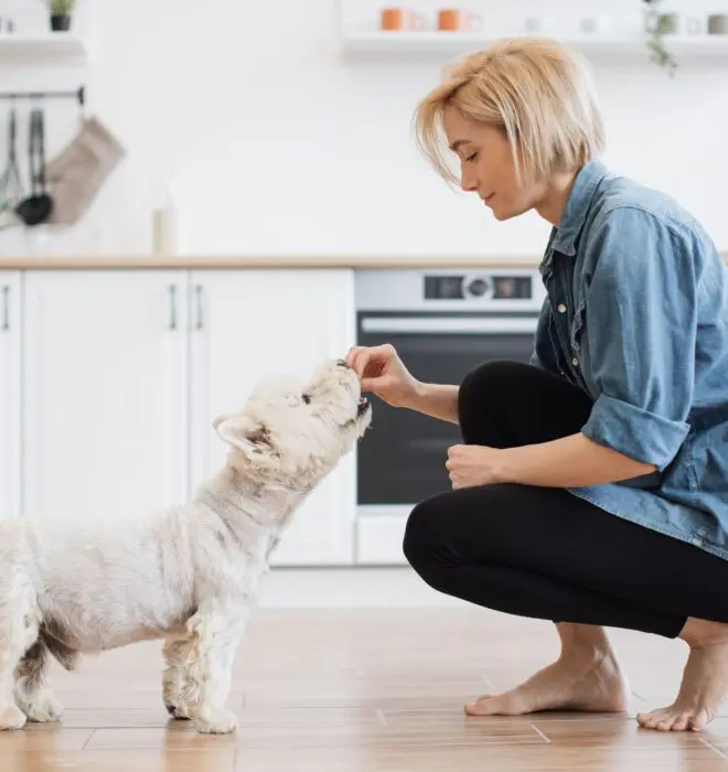 woman feeding a dog treats
