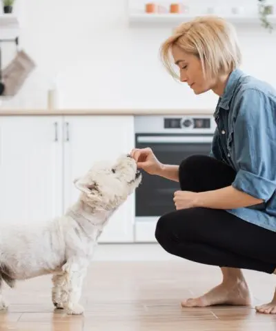 woman-feeding-dog-treats