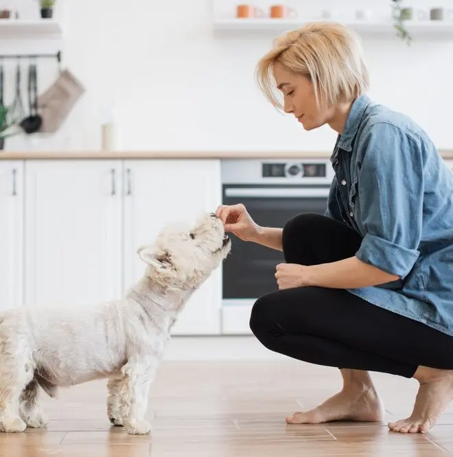 woman-feeding-dog-treats