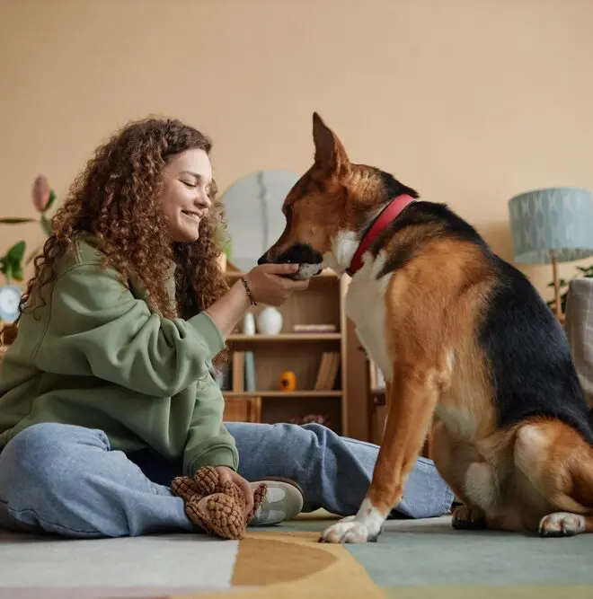 woman-feeding-large-dog-a-treat