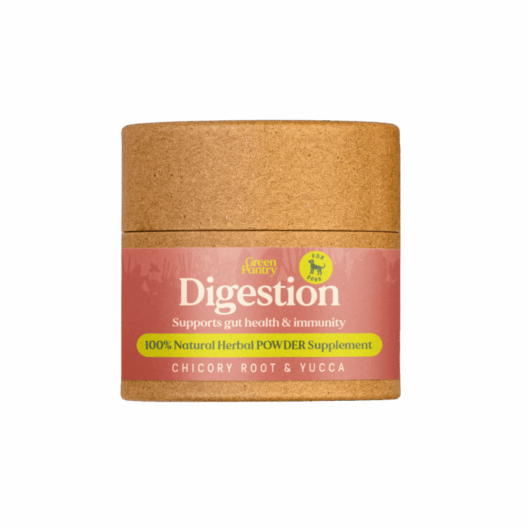 Digestion Image