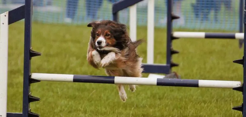 holly1 asfordby 18 7 09 min