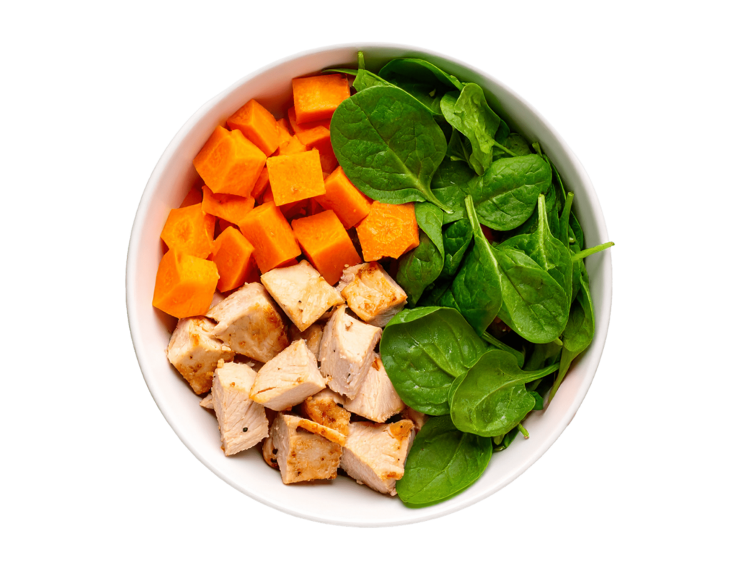 Small Dog Chicken Plate min