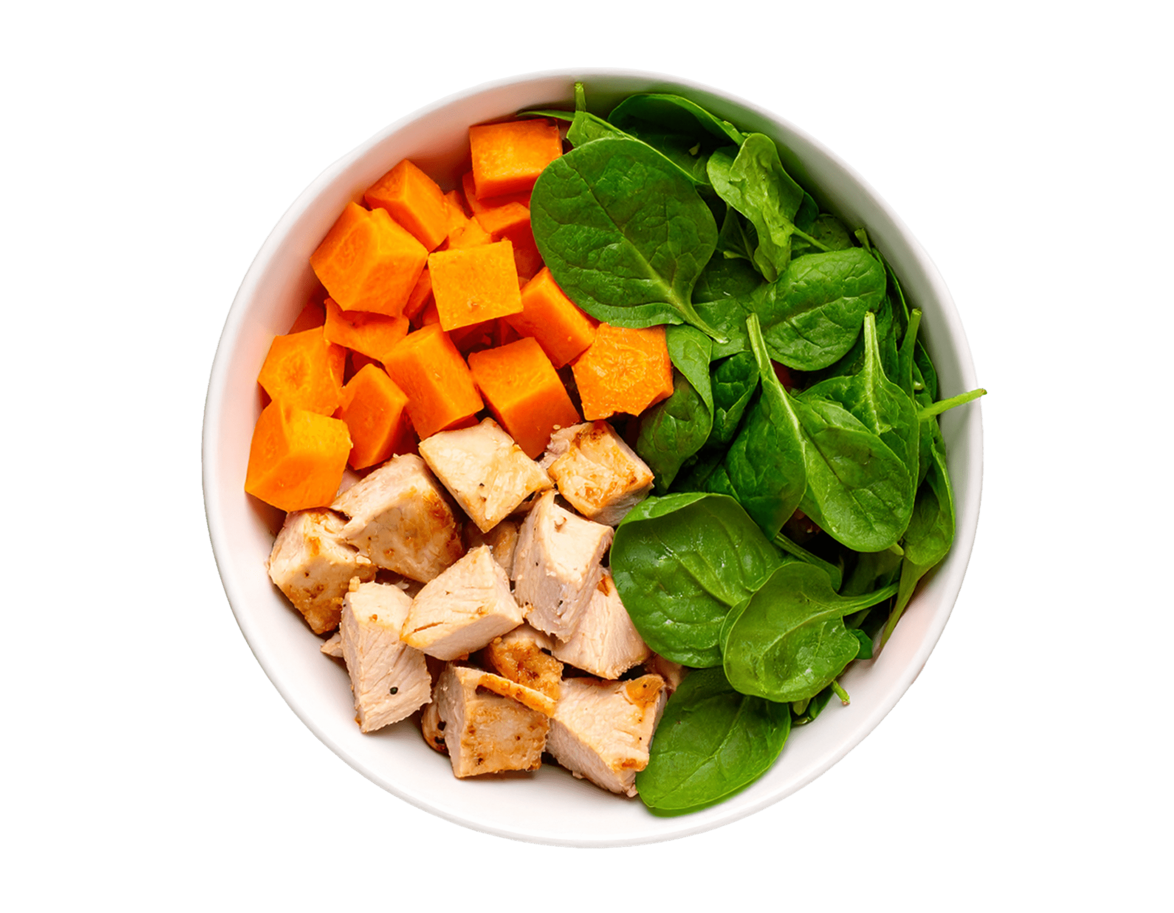 Small Dog Chicken Plate min