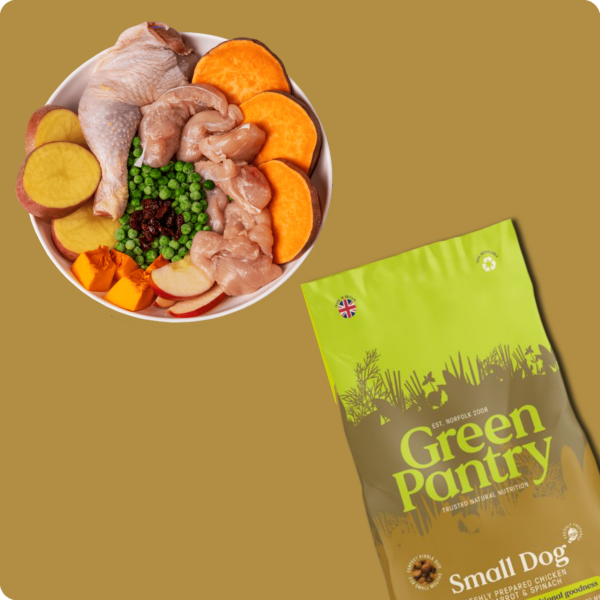 Small Dog plate