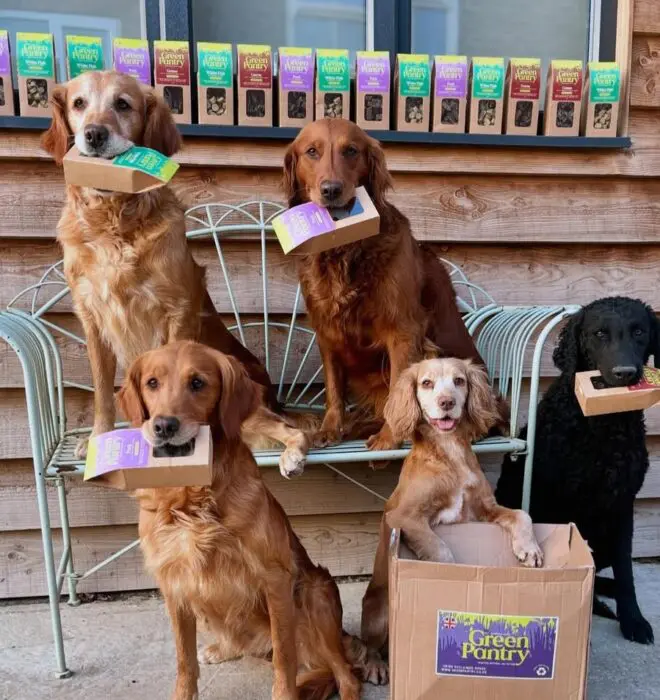 Treats Subs