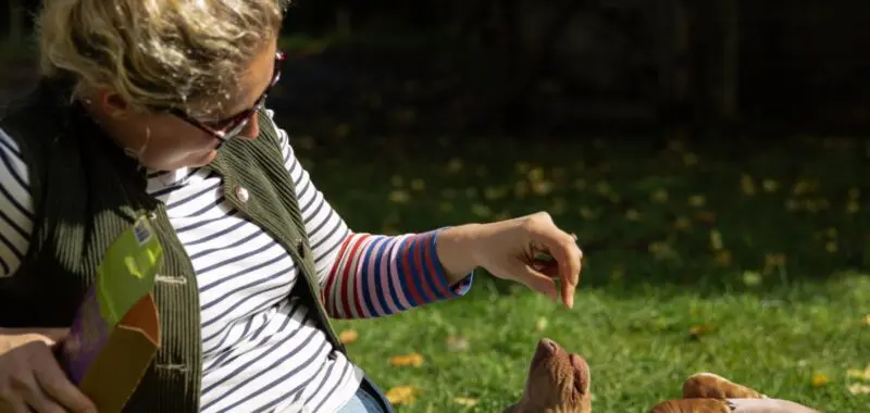 Dog Lying on its Back on Someones Legs Whilst Being Fed Green Pantry Treats