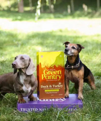 Two Dogs Standing Either Side of Green Pantry Duck & Turkey Natural Dog Food
