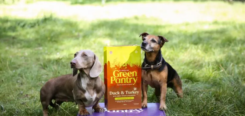 Two Dogs Standing Either Side of Green Pantry Duck & Turkey Natural Dog Food