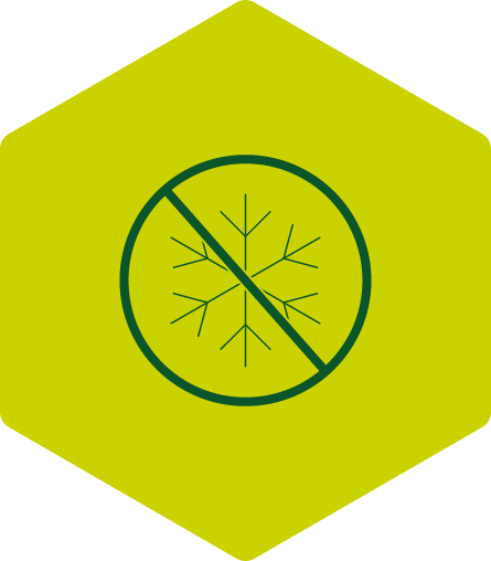 Asset 14