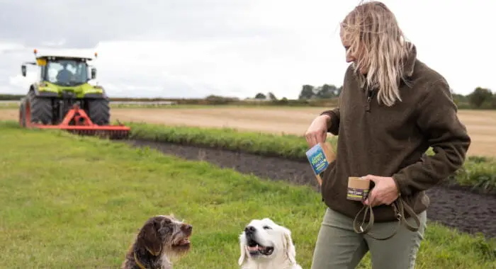 Person Feeding Three Dogs In A Field