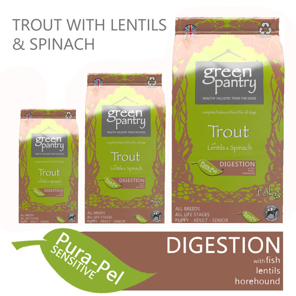 Trout Salmon with Lentils Spinach Dry Compete Dog Food