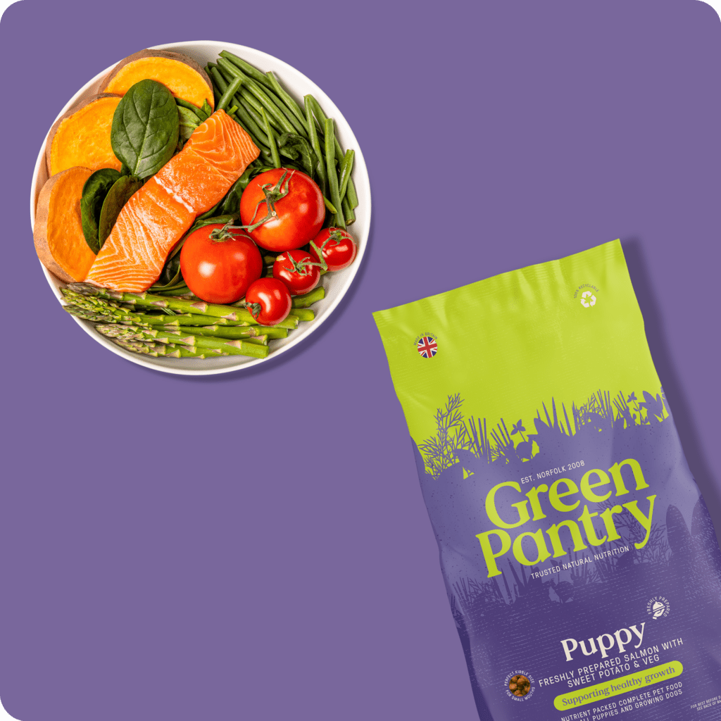 Freshly Prepared Salmon with Sweet Potato & Veg, Puppy - Green Pantry