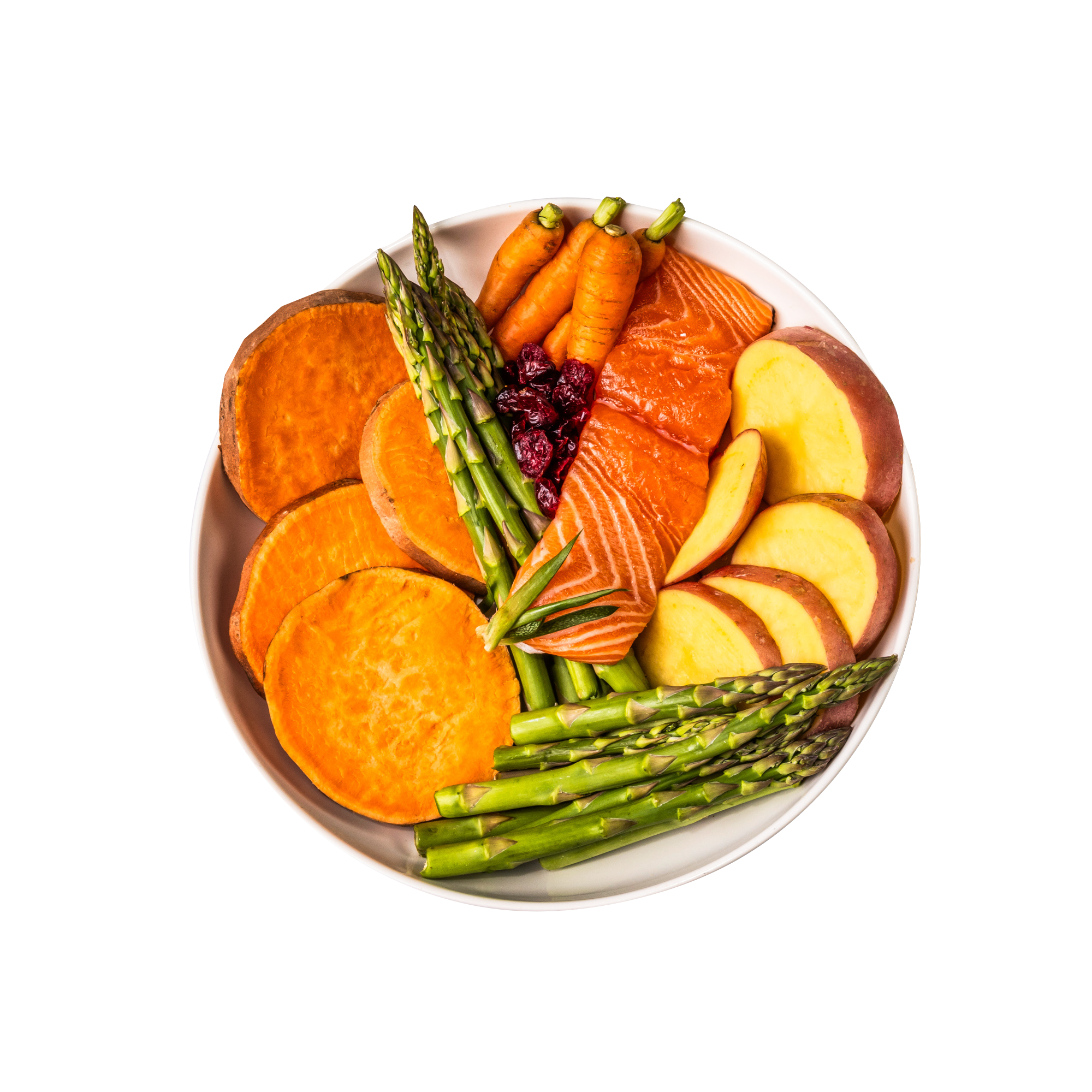 GP Cat Salmon Ingredients CUTOUT