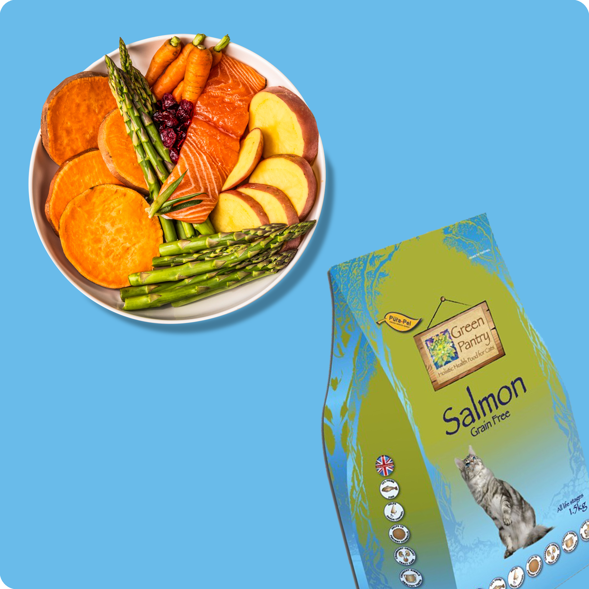 Salmon Grain Free Dry Complete Cat Food - Green Pantry